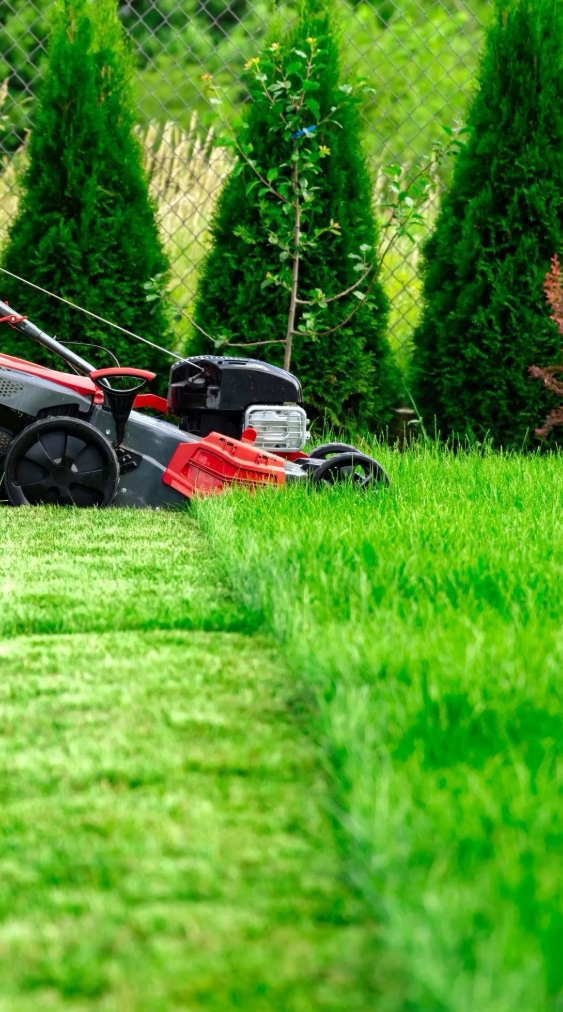 Screenshot_5